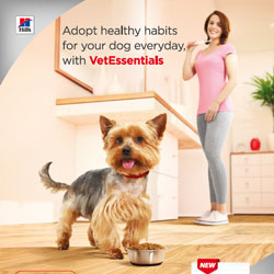 Consumer Poster Canine