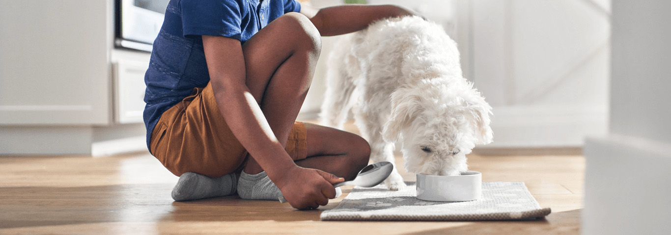 Câine care mănâncă cu un copil lângă el